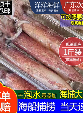 海钓大鱿鱼无泡水鲜活冷冻海鲜小大枪乌贼章鱼海兔子新鲜大笔管鱼