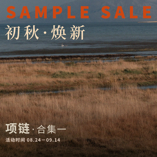 【初秋焕新】项链合集1 SAMPLE SALE