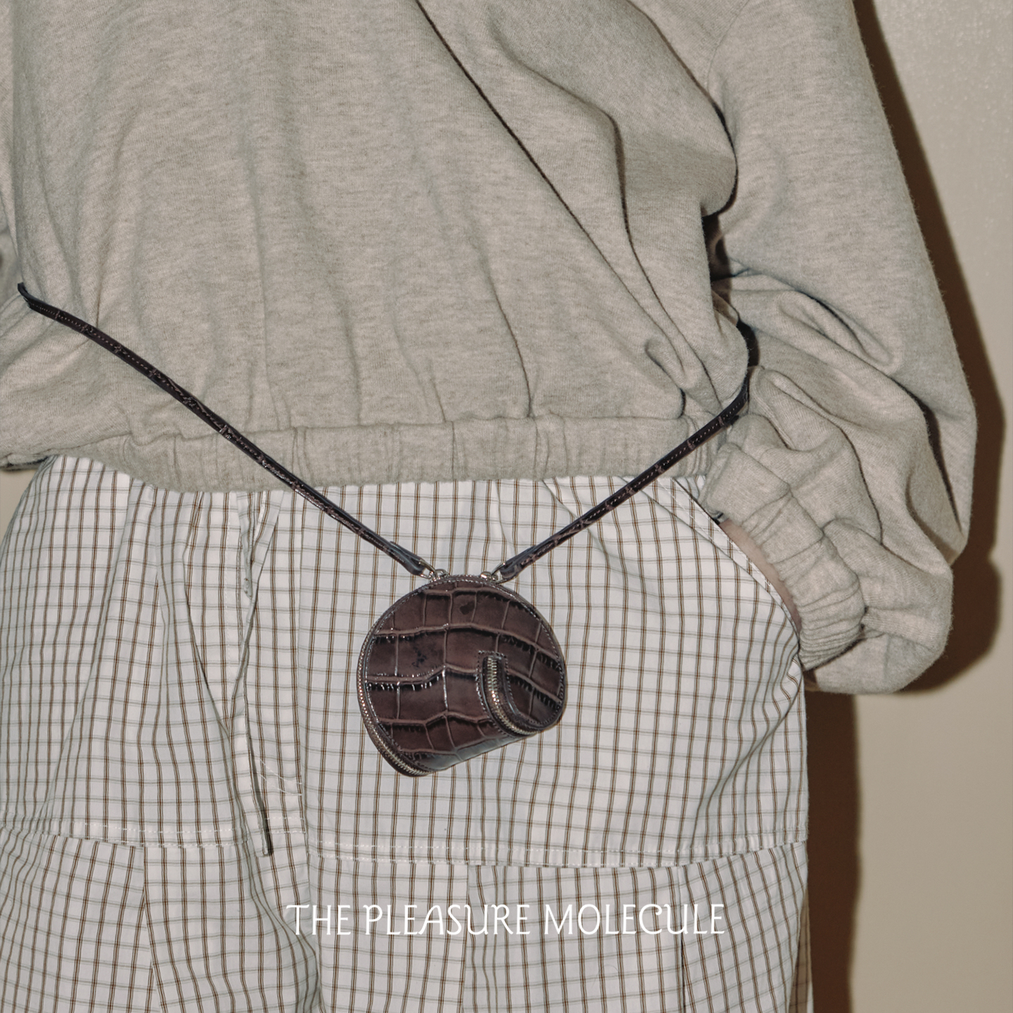 THE PLEASURE MOLECULE 种子零钱包 多功能mini包高级感挂件 默叙