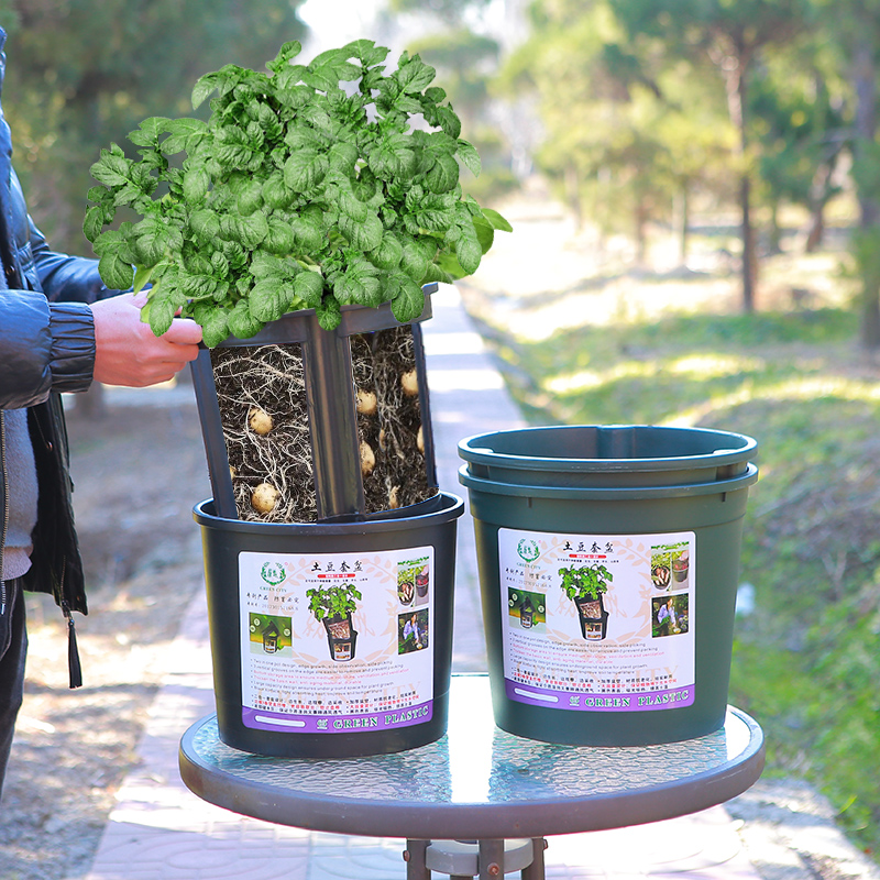 土豆盆红薯桶盆优质加厚特大号