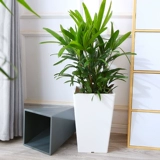 Очень большой квадратный цветочный горшок, высокие сапоги, европейский стиль, увеличенная толщина