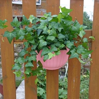 Беззовый крюк [1]