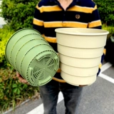 Цингшан контрольный корень корень горшок пластик сгущенной большой розовый зеленый горшок с галоп -скалопменным переполненным пустым 360 ° дышащая роза