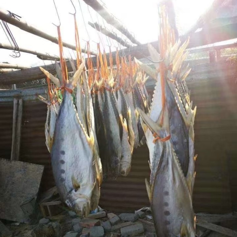 北海海鲜干货马胶鱼干咸鱼干 海鱼干 尖嘴鲅鱼干 咸鱼干货