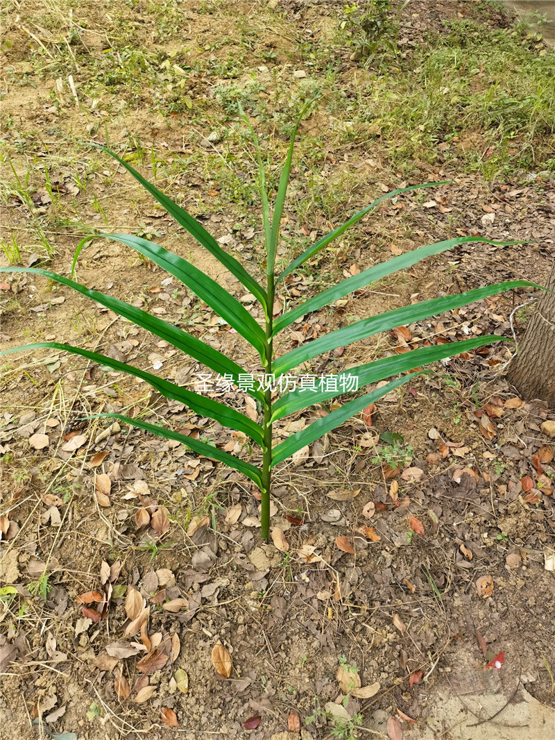 生姜叶仿真庄稼农田装饰影视道具造景摆设姜叶模具田园假绿植花艺