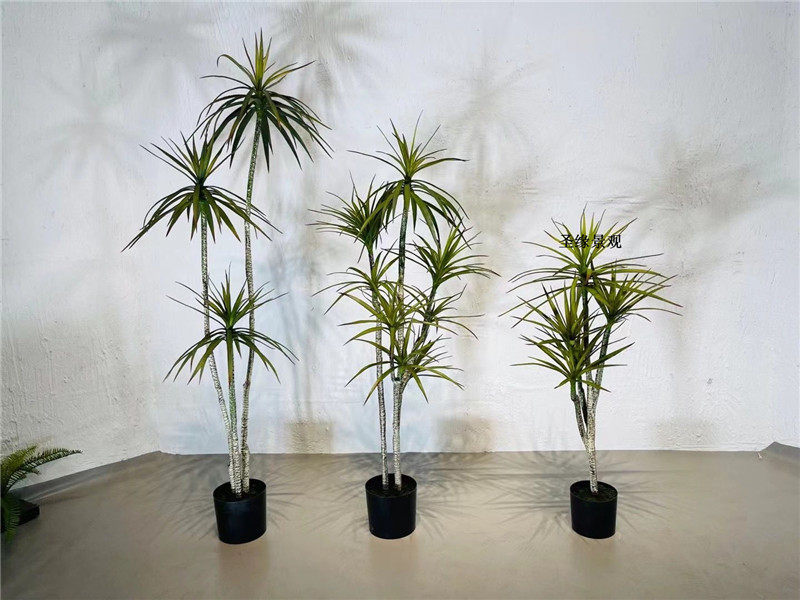 仿真龙血铁狭叶龙血树长花龙血树商场广场小区园林落地花艺装饰