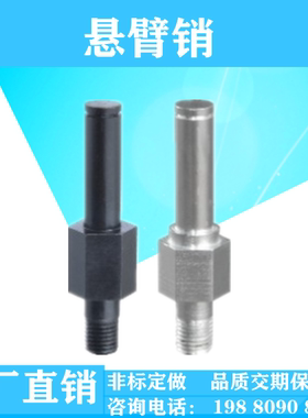 悬臂销MGP01/02/04/06/07/08/11/12/14/16/17/ 张紧轮用怡合达