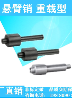 悬臂销MGB MGC MGD01/02/11/21/22/31/41/42/51内螺纹外螺纹型