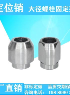 定位销YDG01/11圆形多菱型大径螺栓固定型 P尺寸指定型怡合达定做