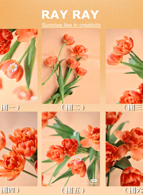 解压DIY数字油画小清新橙色郁金香治愈手绘涂色家居餐厅背景挂画