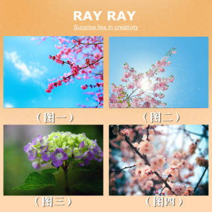 DIY数字油画天空花樱桃春绣球花客厅休闲背景墙装饰填充手绘女礼