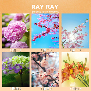 DIY数字油画天空花樱桃春绣球花简单电视背景墙手绘装饰创意礼物