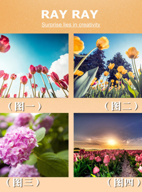 DIY数字油画粉色郁金香蓝色天空风景挂画手绘填充唯美情人节礼物