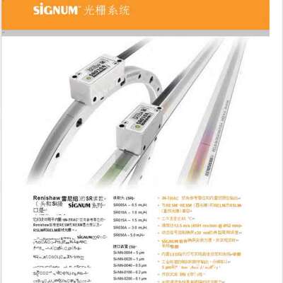 雷尼绍SiGNUm  Renishaw  SR010A读头适