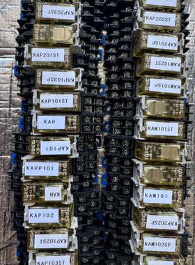 和泉IDEC继电器，型号KAP101-KAP203ST，带底