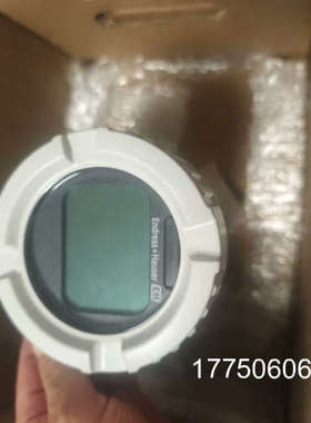 恩德斯豪斯新款大屏 E+H压力变送器PMP51B-AABAD