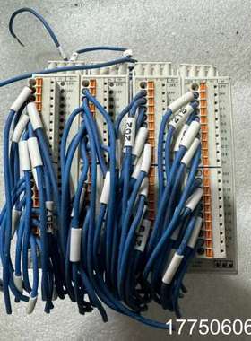 eckelmann lbmdim16 4片功能包好