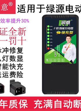 适用绿源电动车48V12AH60V20AH72V铅酸两竖原装D快充电器自动断电