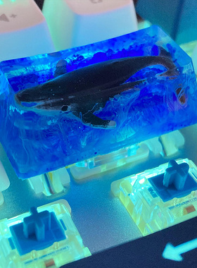 鲸落树脂键帽oem机械键盘个性退格键2x透光键帽Sa可定制蓝色单个