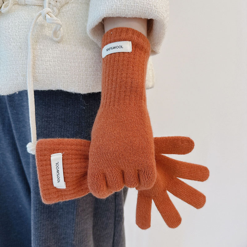冬天不冻手！羊毛手套高品质防寒保暖手套骑行高级感纯色2025新款