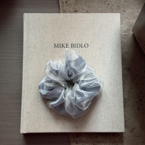 这是辛德瑞拉的裙摆吧！法式绸缎大肠发圈高级感网纱头绳2026新款