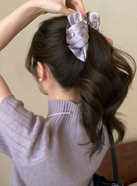 好温柔治愈的紫色韩系马尾香蕉夹气质款显发量抓夹高级感2025新款