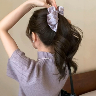 好温柔治愈的紫色韩系马尾香蕉夹气质款显发量抓夹高级感2025新款