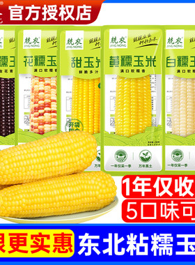 兢农黄糯玉米200g*6根北纬47度真空加热即食白糯粘玉米棒粗粮早餐