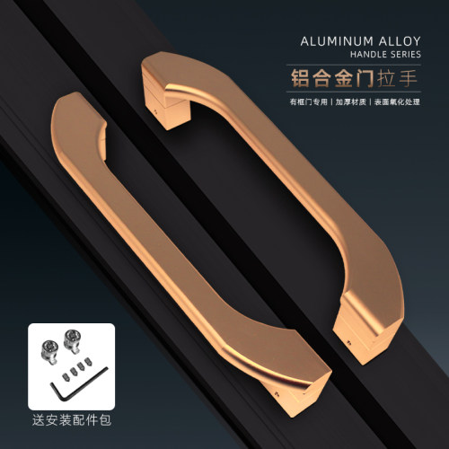 有框玻璃门拉手推拉门氧化大拉手