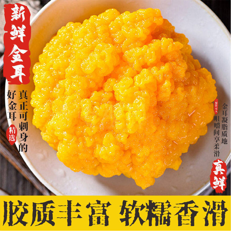云南新鲜金耳菌菇鲜黄