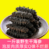 高档礼盒装 大连野生淡干海参干货500g深海辽刺参6 9年孕妇级特价