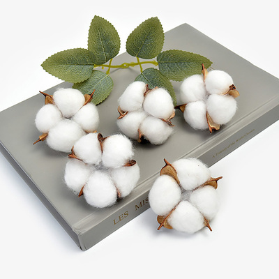 diy天然木手工永生材料家居干花