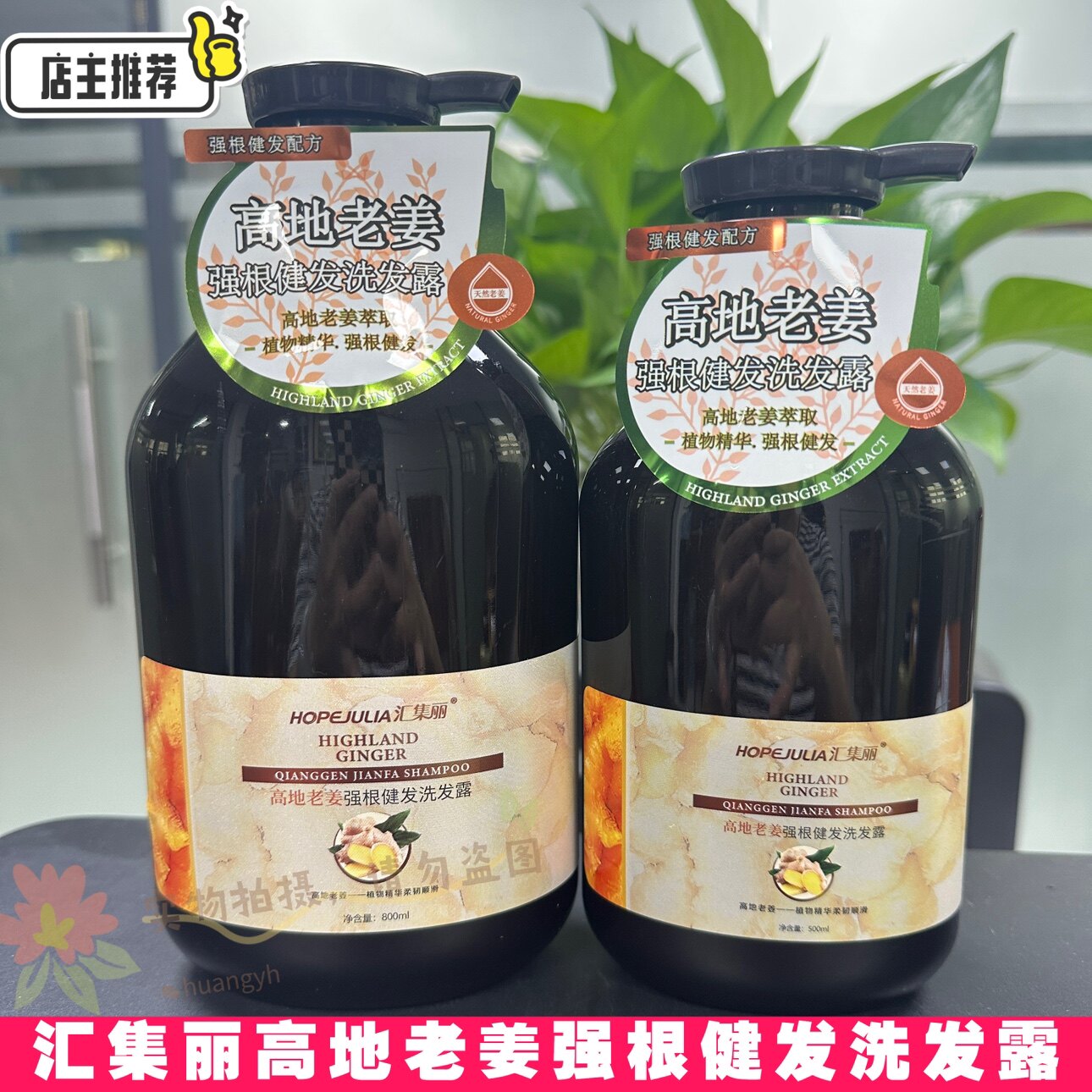 汇集丽洗发水高地老姜强根健发洗发露控油去屑男女洗发水