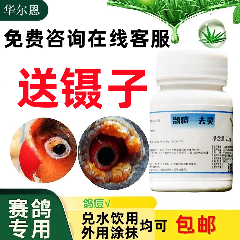鸽子用品非鸽子鸽药信鸽赛鸽子药品大全赛鸽用非鸽豆药鹦鹉鸟痘豆
