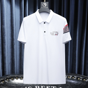 2024夏季新款高端品质丝光棉男士潮流短袖T恤 QT6012AFD8528T-P80图片