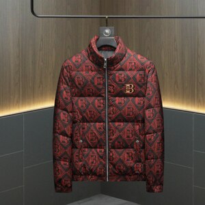 2026新款男士立领开衫时尚潮流羽绒服外套QT6012AFD7807-P310图片
