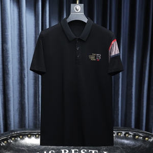 2024夏季新款高端品质丝光棉男士潮流短袖T恤QT6012AFD8528T-P80图片