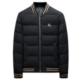 2025新款男士立领开衫时尚潮流羽绒服外套QT6012AFD7800-P300，男装羽绒服，阿丰达