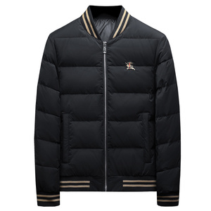 2026新款男士立领开衫时尚潮流羽绒服外套QT6012AFD7800-P300图片