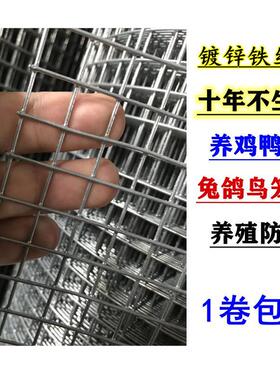 热镀锌防锈电焊网围栏养殖鸡鸽兔铁丝网防鼠网格片隔离防护钢丝网