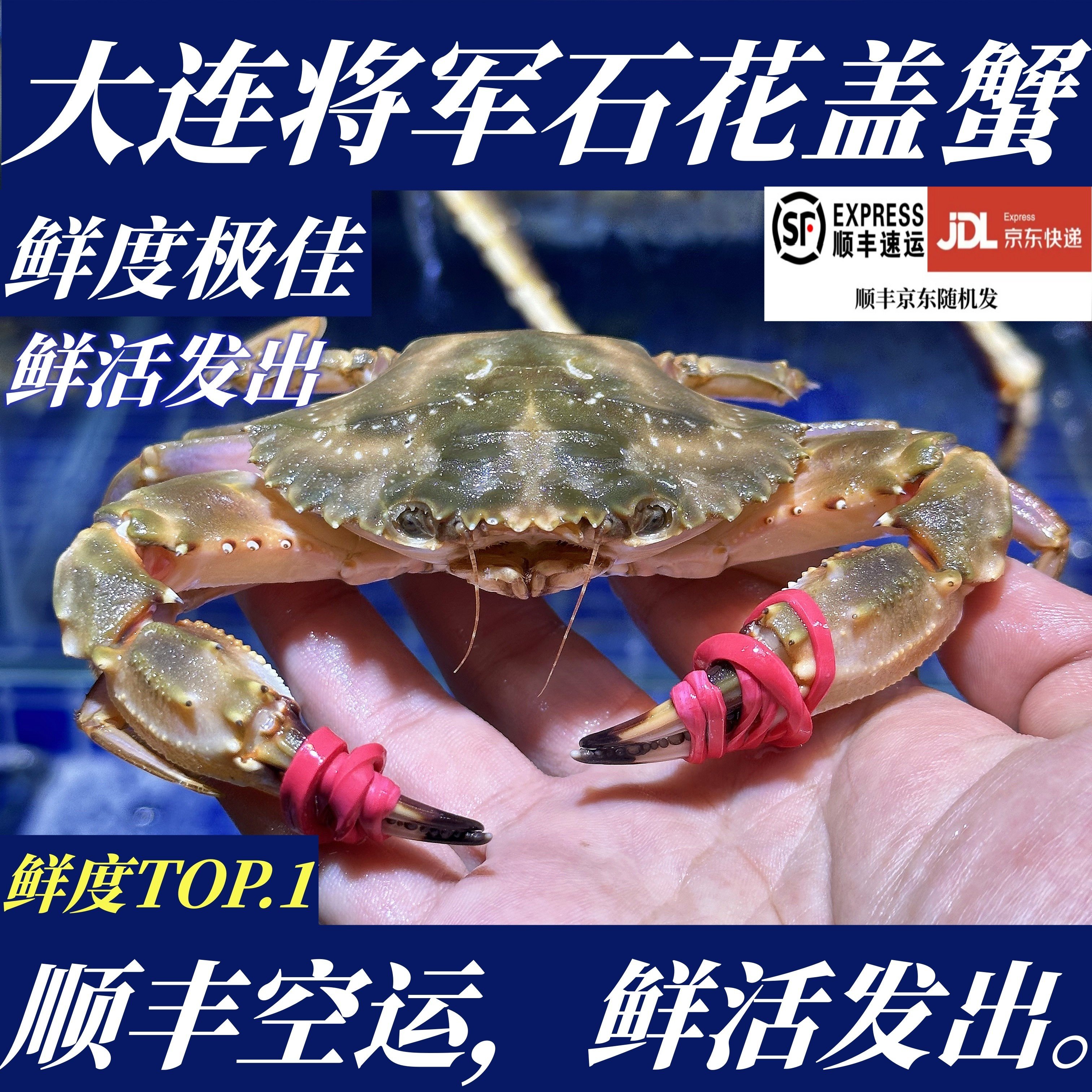 【保鲜不包活】鲜活大连花盖蟹公蟹母蟹三斤2两3两/只,水产肉类/新鲜蔬果/熟食,梭子蟹,淘宝优惠券,粉丝福利购,淘宝优惠卷