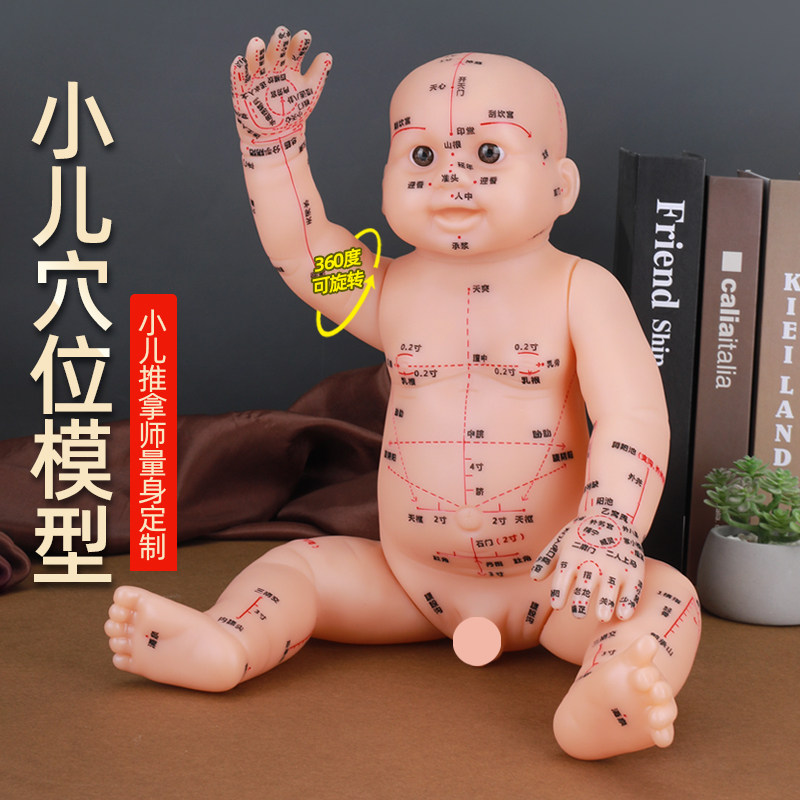 推拿娃娃人体穴位模型儿童仿真婴儿月嫂培训通用的娃娃
