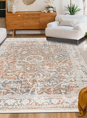 土耳其进口客厅欧式美式地毯沙发轻奢现代复古卧室房间立体地毯