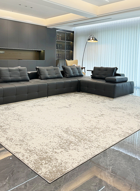 客厅地毯无胶防水免洗可擦意式轻奢现代简约高级感沙发卧室床边毯