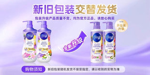 清洗液专用洗衣液除菌去血渍 芭菲内衣专护洗衣液480g香氛内衣内裤