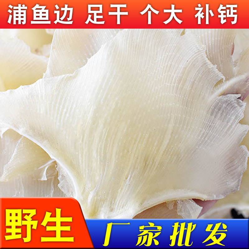 今年海狗翅浦鱼软骨新鲜水产干货