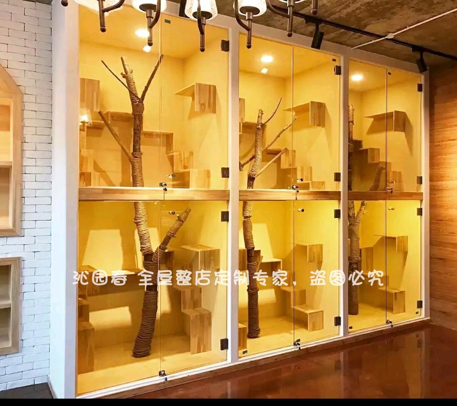 qyc宠物店猫舍定制实木猫笼子猫别墅猫柜猫屋猫房寄养展示柜猫窝