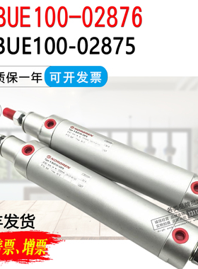 NORGREN诺冠气缸X-BUE100-02876  X-BUE100-02875 X-BUE100-02876