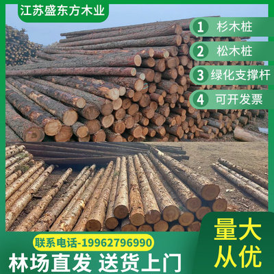 一手货源松木桩新鲜带皮杉木桩