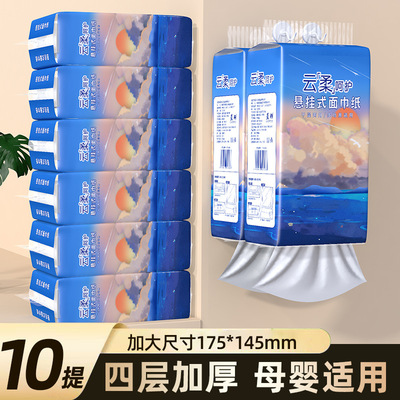 蓝羽大包悬挂式抽纸家用整